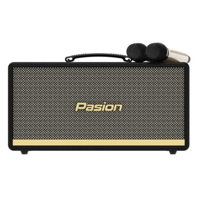 Loa Karaoke di động Paramax Pasion 2