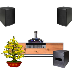Dàn Karaoke LHH025