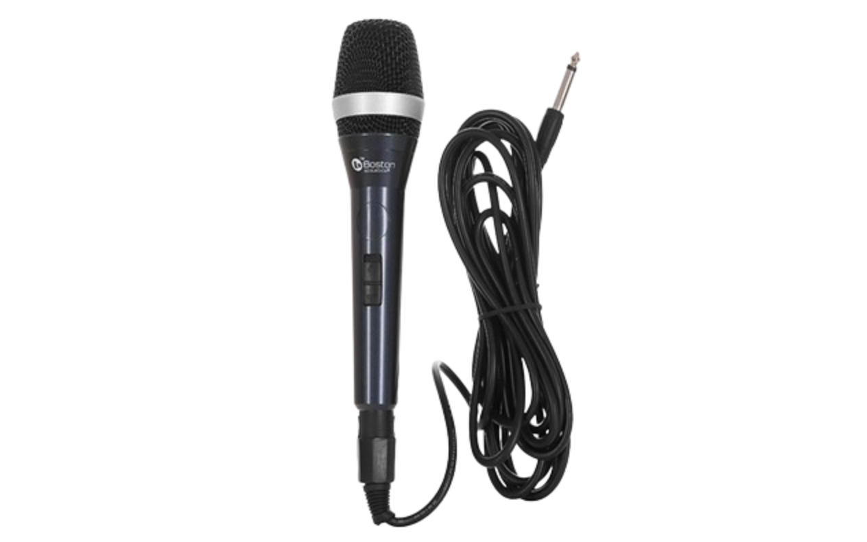 Micro Boston Acoustic BAM 1
