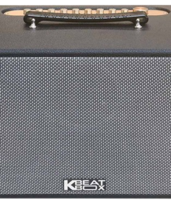 Loa Karaoke di động Acnos CS450