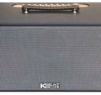 Loa Karaoke di động Acnos CS450