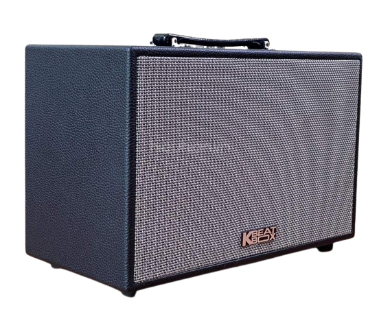 Loa Karaoke di động ACNOS CS200PU