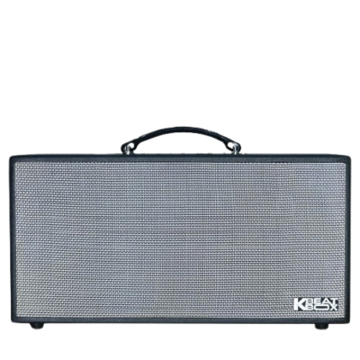 Loa Karaoke di động Acnos CS450SR