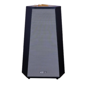 Loa Karaoke di động Acnos CS500