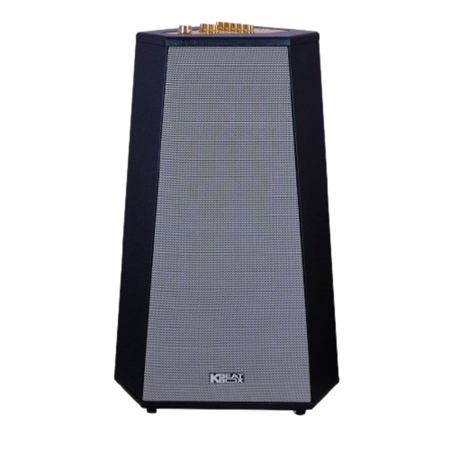 Loa Karaoke di động Acnos CS500