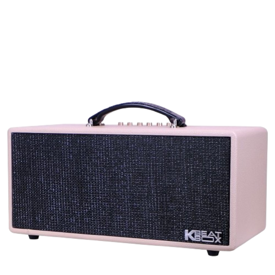 Loa Karaoke di động Acnos KS363H