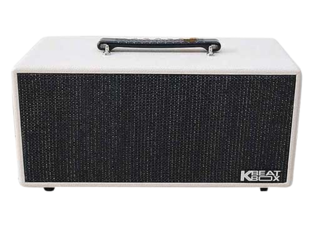 Loa Karaoke di động Acnos KS363H
