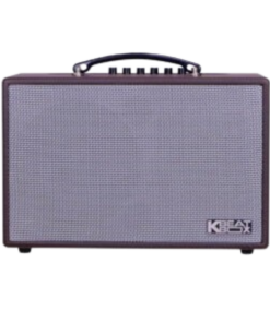 Loa Karaoke di động Acnos CS160