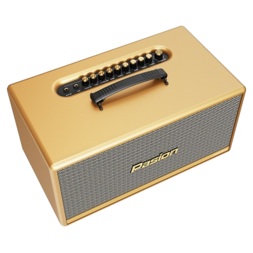 Loa Karaoke di động Paramax Pasion 2