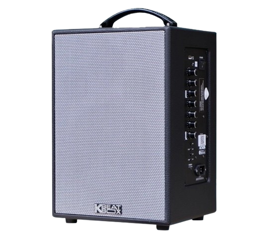 Loa Karaoke di động Acnos CS141