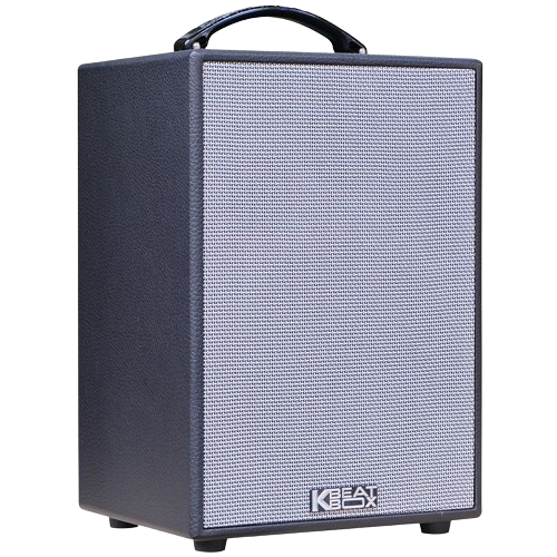 Loa Karaoke di động Acnos CS121