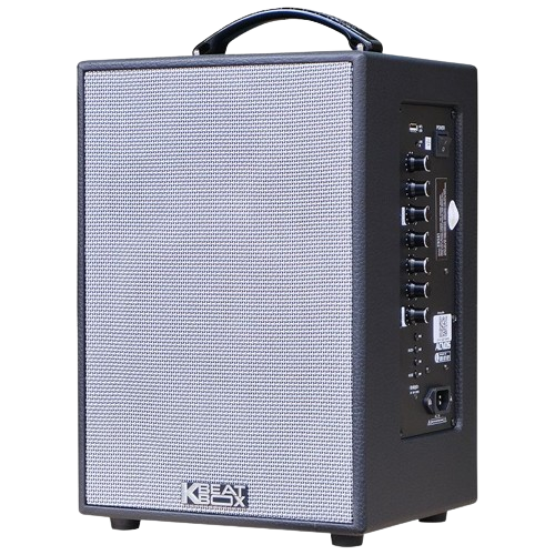 Loa Karaoke di động Acnos CS121