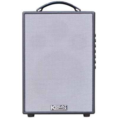 Loa Karaoke di động Acnos CS121
