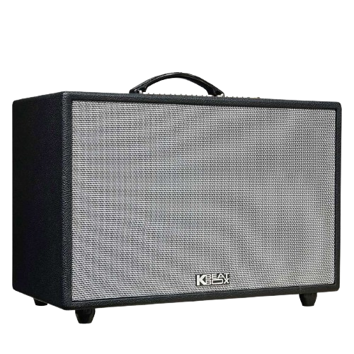 Loa Karaoke di động Acnos CS3600