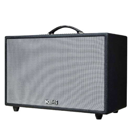 Loa Karaoke di động Acnos CS3600