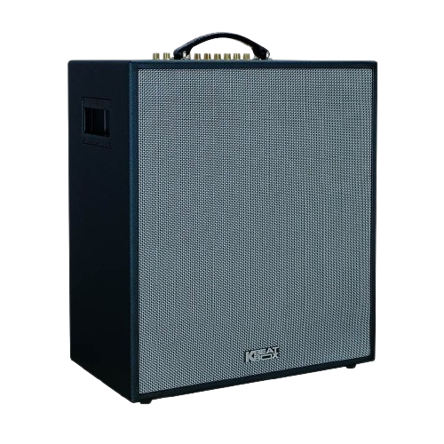 Loa Karaoke di động Acnos CS551