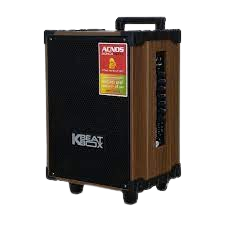 Loa Karaoke di động CS120
