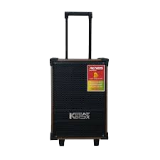 Loa Karaoke di động CS120
