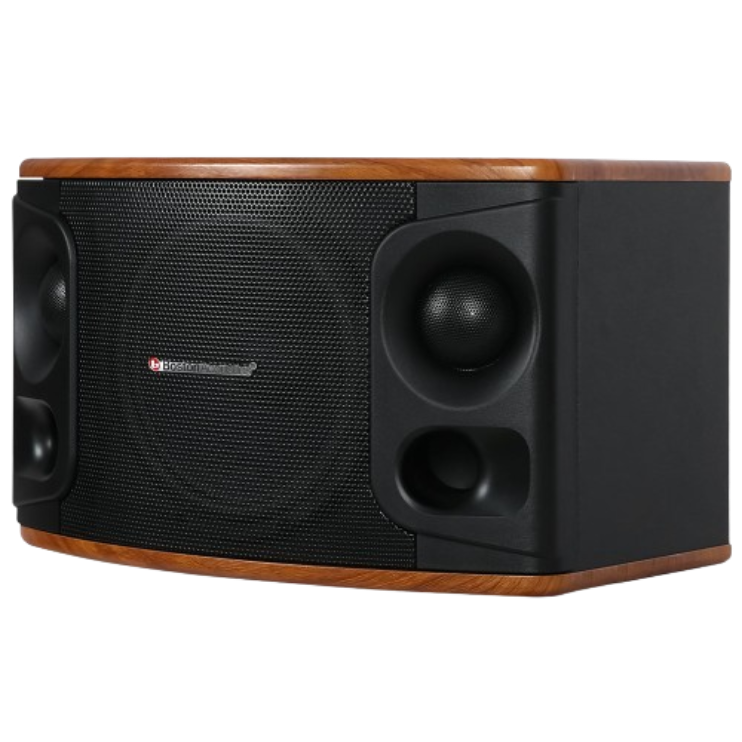 Loa Karaoke Boston Acoustics Modern MD510