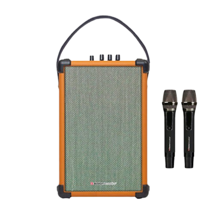 Loa Karaoke di động Boston Acoustics H5