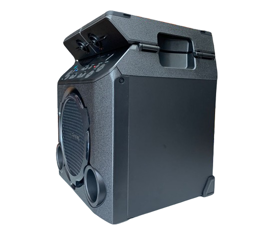 Loa Karaoke di động Sony GTK-PG10
